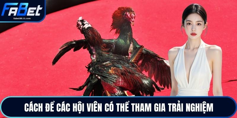 Cách để các hội viên có thể tham gia trải nghiệm