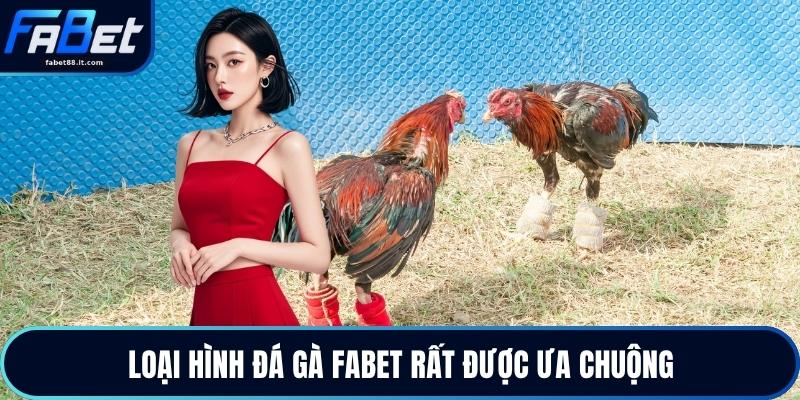 Loại hình đá gà FABET rất được ưa chuộng