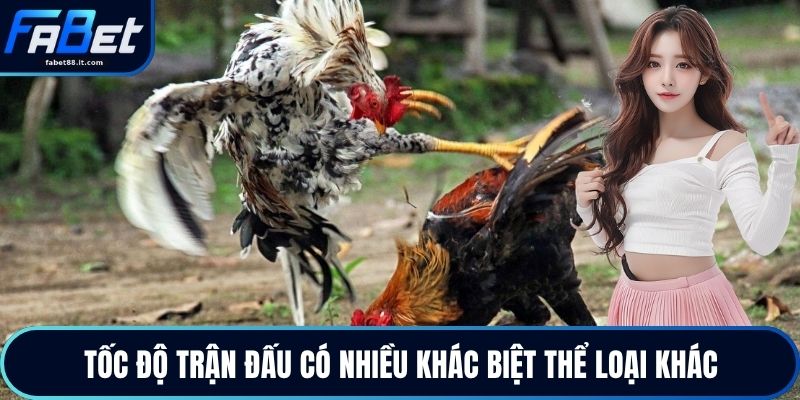 Tốc độ trận đấu có nhiều khác biệt thể loại khác